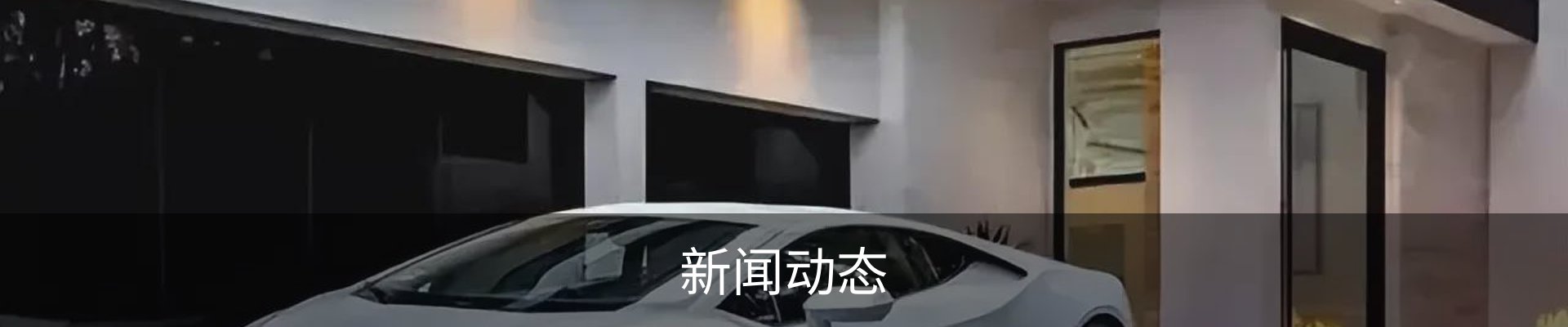 新闻动态