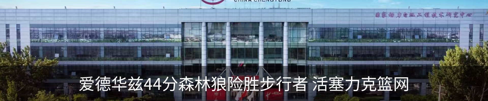 新闻动态